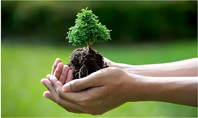 UNIÓN INTERNACIONAL PARA LA CONSERVACIÓN DE LA NATURALEZA Y LOS RECURSOS NATURALES