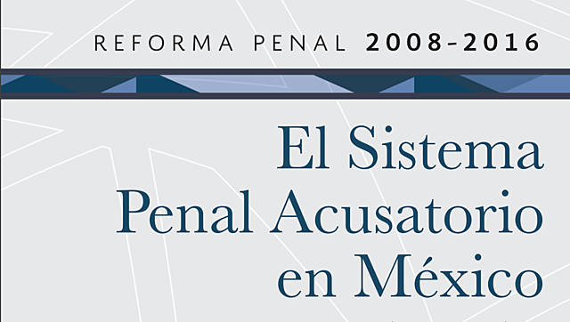 REFORMA CONSTITUCIONAL  2008