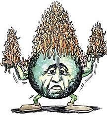 Crecimiento de población entre las décadas de 1950 y 1960