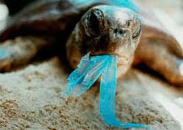 Contaminación por basuras y residuos plásticos – 2010