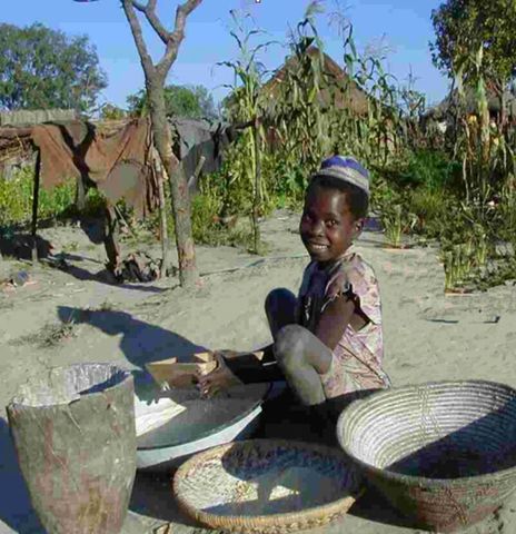 Supply and Logistics Officer, UNICEF Luanda, Angola