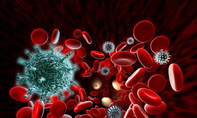 Muertes por enfermedades transmisibles.