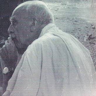 Síntesis evolutiva moderna