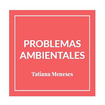 Timeline: DIMENSIÓN AMBIENTAL GLOBAL