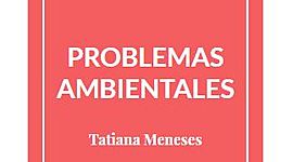 Timeline: DIMENSIÓN AMBIENTAL GLOBAL