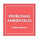 Problemas ambientales
