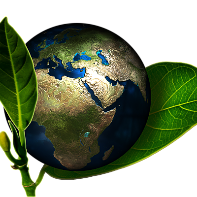 Timeline: Línea de tiempo: Problemática Ambiental Global