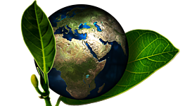 Timeline: Línea de tiempo: Problemática Ambiental Global