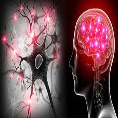 Timeline: EVOLUCIÓN DE LA NEUROCIENCIA DE LA CONDUCTA