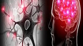 Timeline: EVOLUCIÓN DE LA NEUROCIENCIA DE LA CONDUCTA