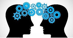 Líneas maestras de la ciencia de la gestión