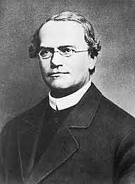 Gregor Mendel 1865