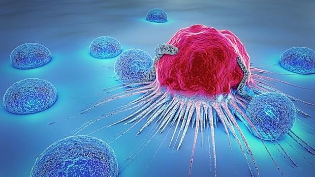 Creación del Centro Internacional de Investigación del Cáncer