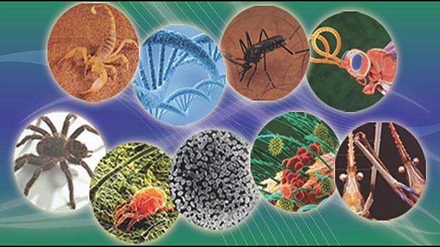 Programa Especial de Investigaciones y Enseñanzas sobre Enfermedades Tropicales.