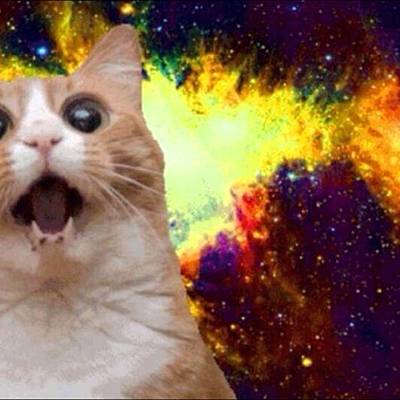 Timeline: Exposure to Traditional and New Media