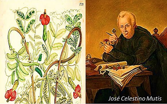 El Nacimiento De La Expedición Botánica