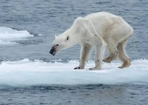 PROBLEMÁTICAS AMBIENTALES