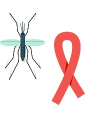 Fondo Mundial de Lucha contra el SIDA, la Tuberculosis y la Malaria.