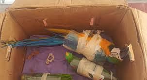 Invasión y tráfico ilegal de especies