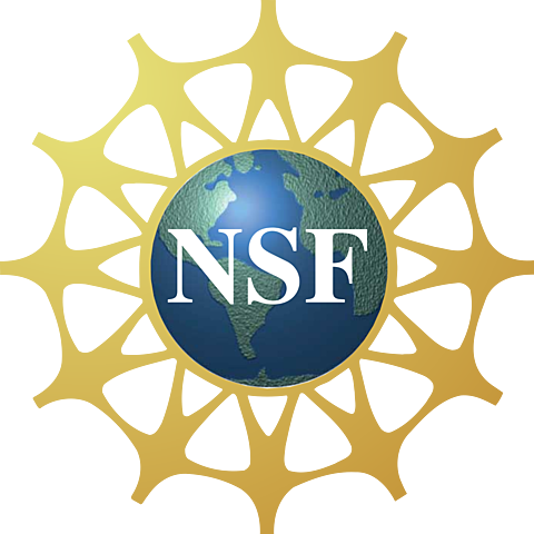 La National Science Foundation (NSF)