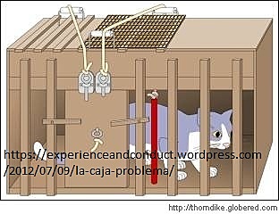 Ley del efecto de Thorndike