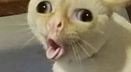 Timeline: life timeline