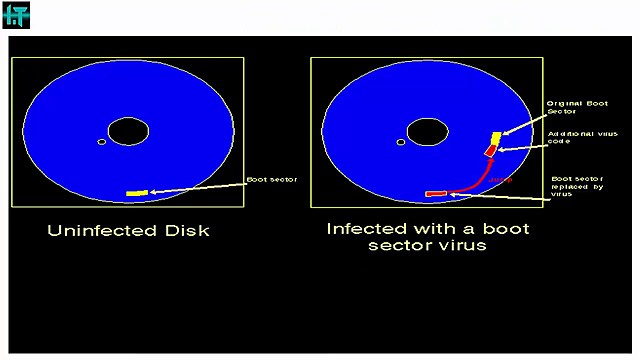 What was the first virus? When was it created?