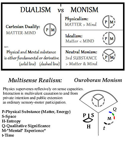 Cerebro: Más Allá de la Materia