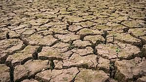 Salinización de los suelos