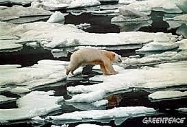 Pérdida Capa de Hielo en los Polos