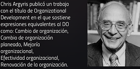 desarrollo organizacional