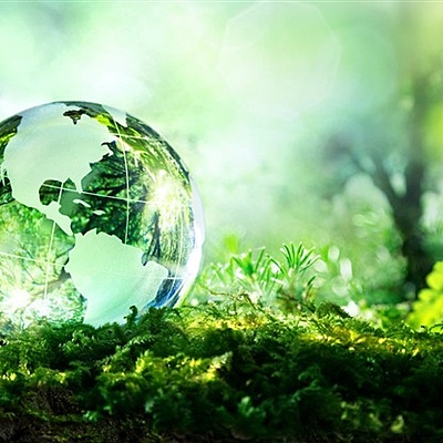 Timeline: Historia de la Dimensión Ambiental