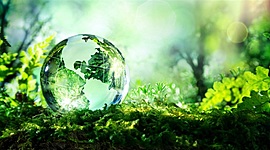 Timeline: Historia de la Dimensión Ambiental