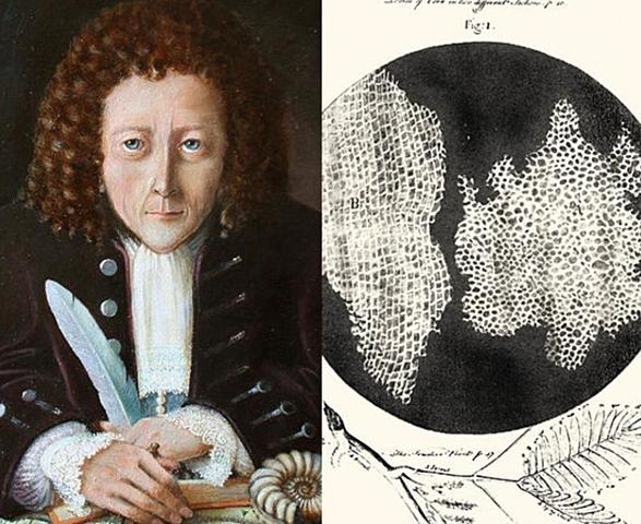 Robert Hooke
