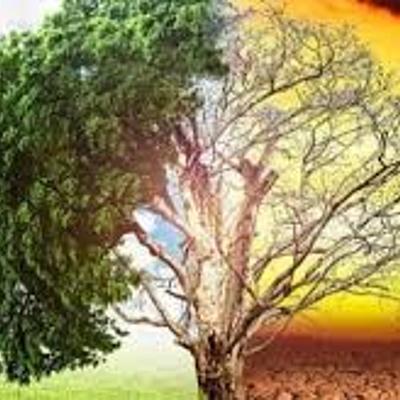 Timeline: PROCESO AMBIENTAL