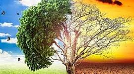 Timeline: PROCESO AMBIENTAL