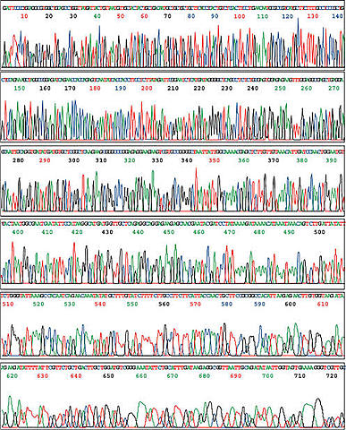 Se completa la secuencia en su totalidad