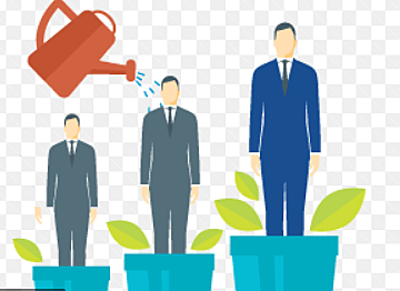 Productividad y calidad de Vida laboral