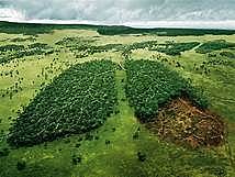 variables en el cambio climatico por parte de los seres umanos