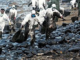 catástrofe ecológica 1967