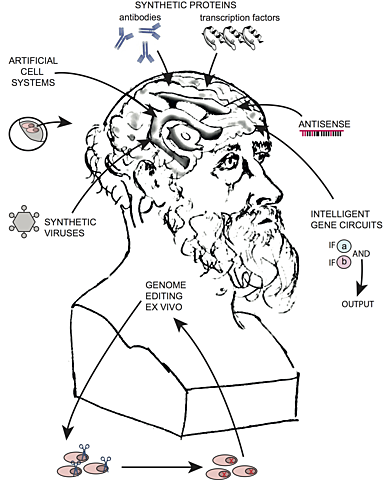 HIPOCRATES Y EL CEREBRO