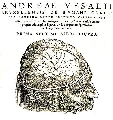 ANDREAS VESALIUS