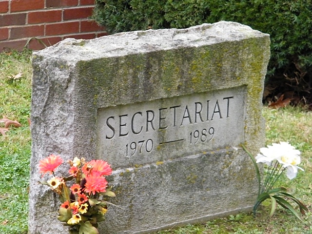 Home school field trip