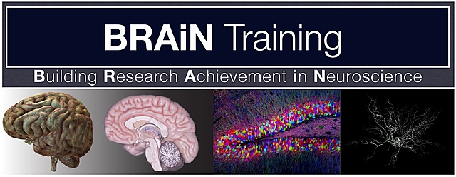 NEUROSCIENCE RESEARCH PROGRAM