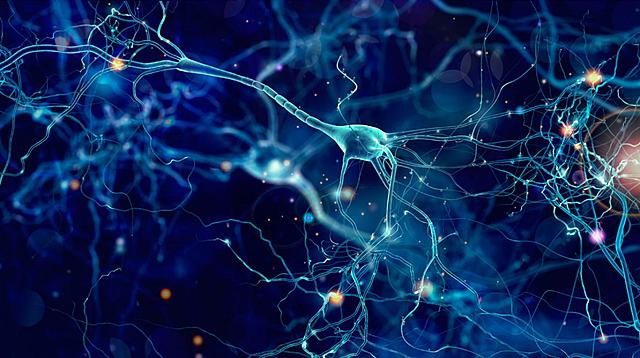 Neurona: La Exponente de la Perfección Cerebral
