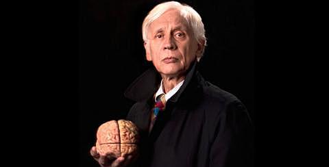 Neurociencias: Aún en Desarrollo