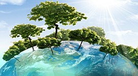 Timeline: DIMENSION AMBIENTAL