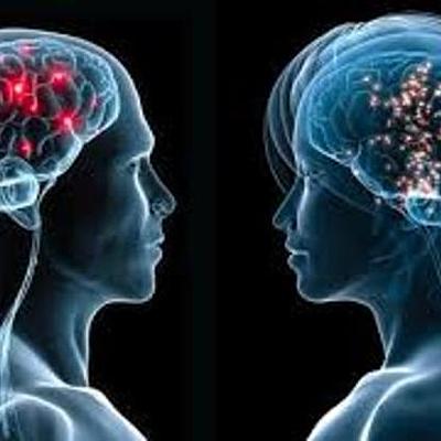 Timeline: Desde los orígenes al presente: las neurociencias de la conducta, un viaje que no se detiene.