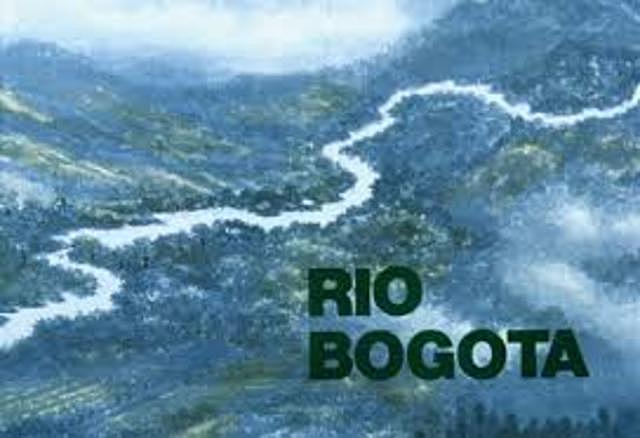 IMPACTO AMBIENTAL DAMA