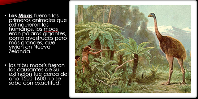 la primera extinsion